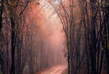 华体会：[天下足球]20250303 “圆神”重启.