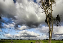 范戴克：接下来我们必须扭转局面；英超冠军是最难获得的奖杯.