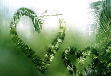 华体会：戈芬 耕耘 罗兰加洛斯之王.