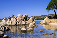 与冠军同行！青少年冰雪融媒体节目《了不起的亚冬会》2月7日上线央视体育.